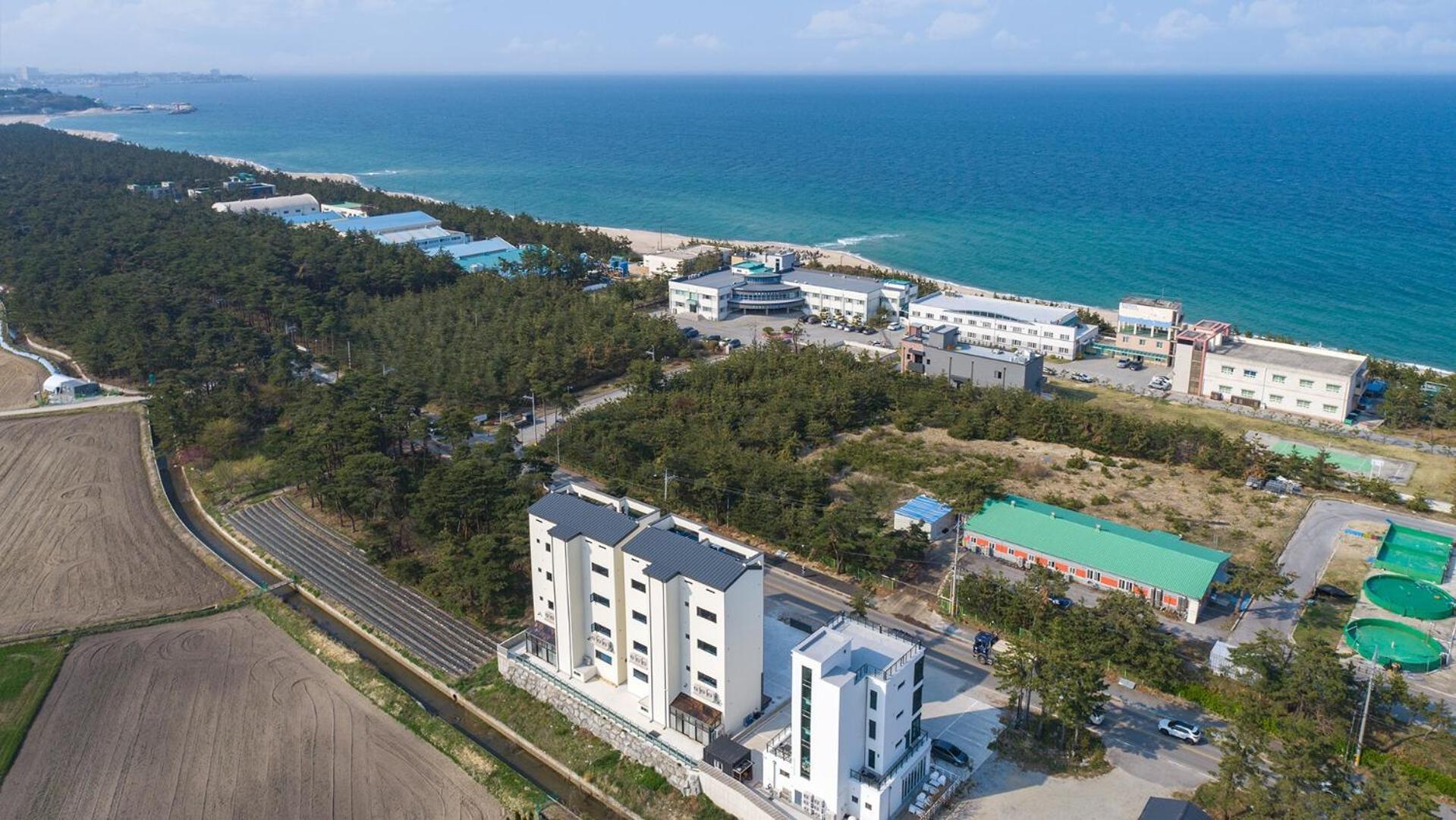 Gangneung Joeungot Poolvilla Екстер'єр фото