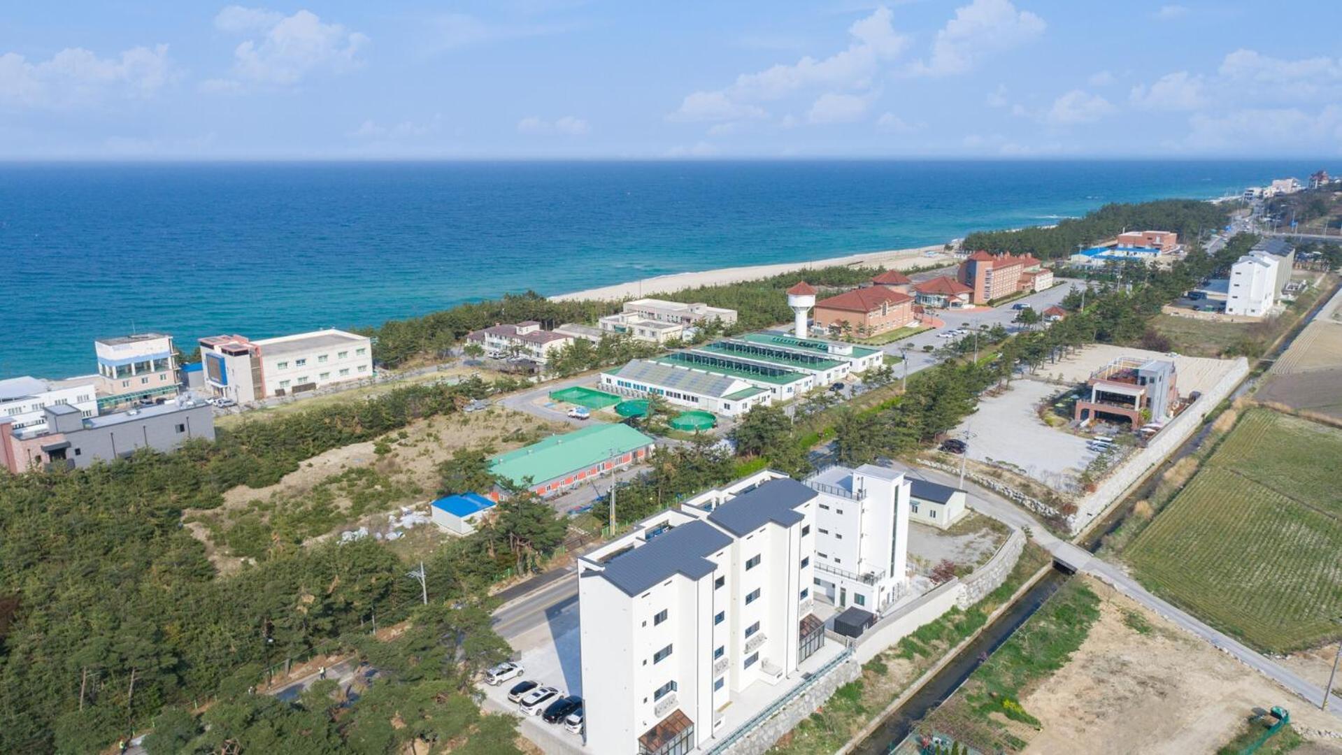 Gangneung Joeungot Poolvilla Екстер'єр фото