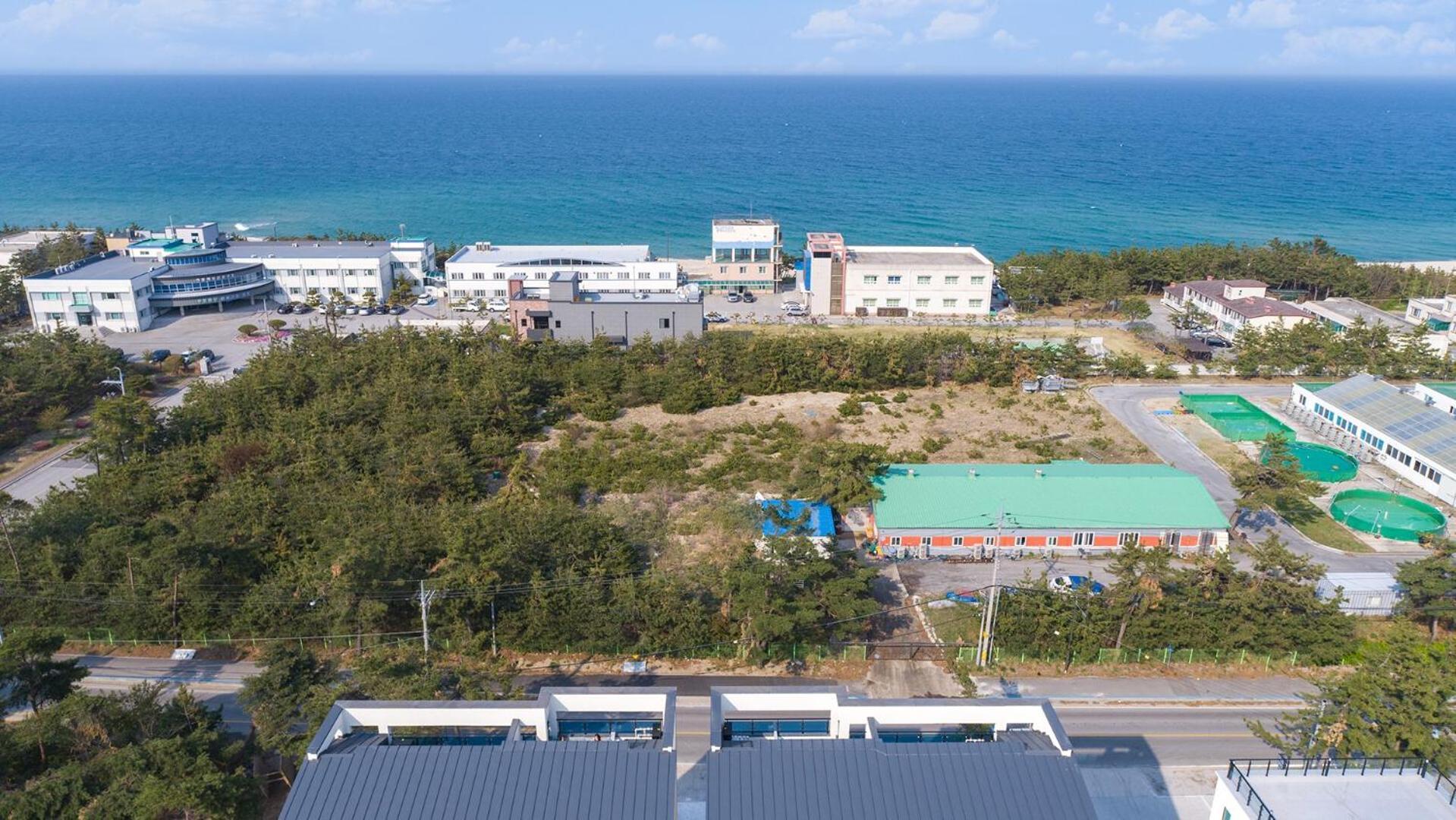 Gangneung Joeungot Poolvilla Екстер'єр фото