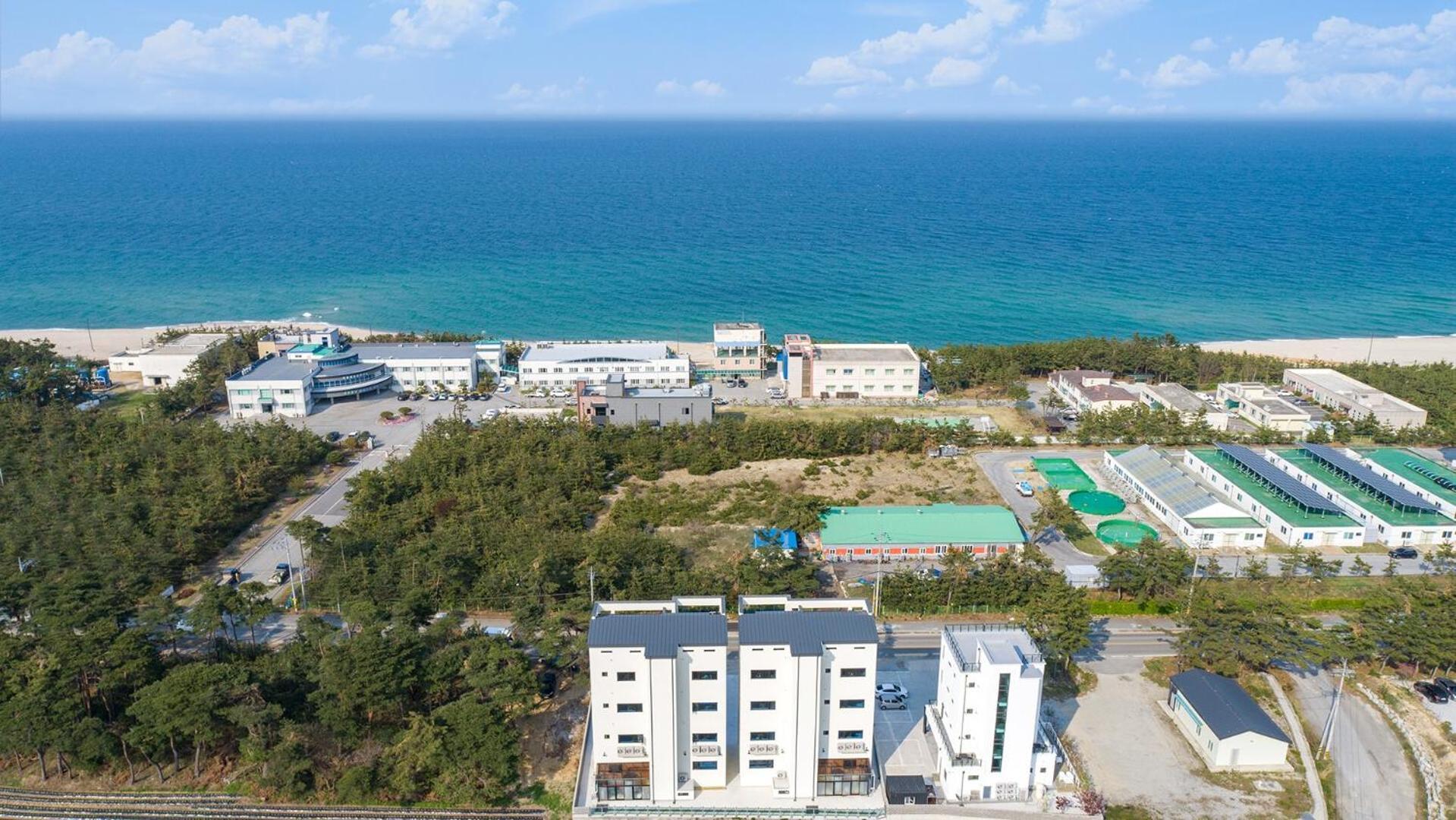 Gangneung Joeungot Poolvilla Екстер'єр фото